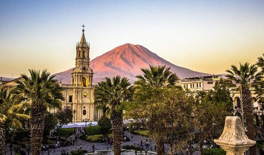 Arequipa: City and Country Tour - Incalpaca and four South American camelids