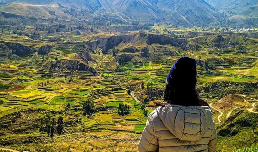 Arequipa: City and Country Tour - Sabandia Mill and old wheat-making methods