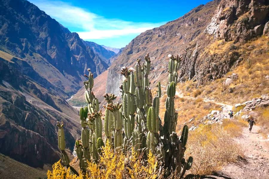 Arequipa : Colca Canyon 2-Day Adventure - Why two days makes sense for Colca Canyon