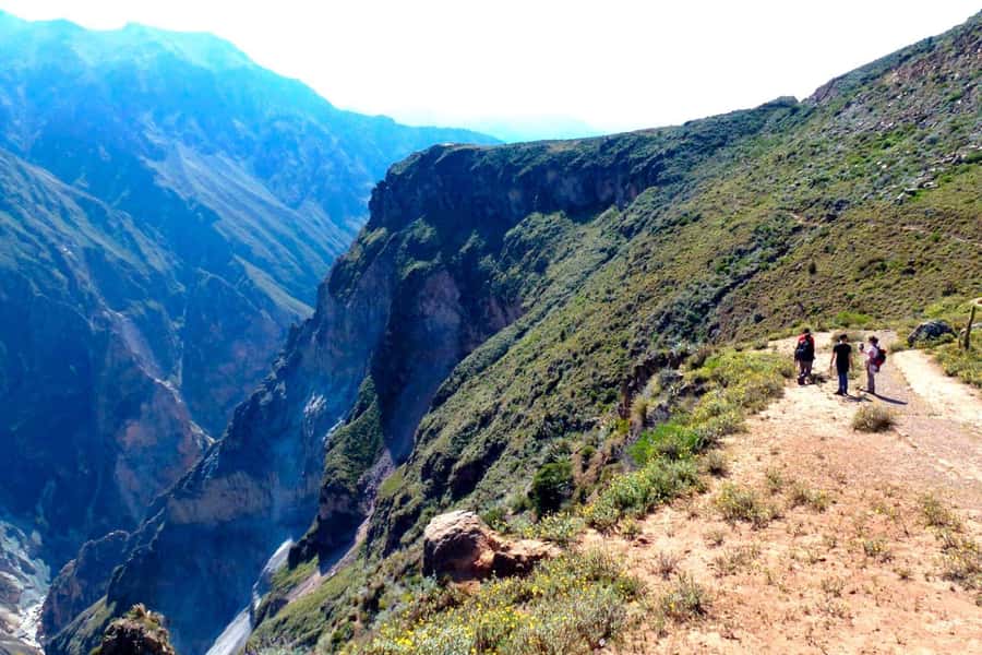 Arequipa : Colca Canyon 2-Day Adventure - Who should book this Colca Canyon trip?