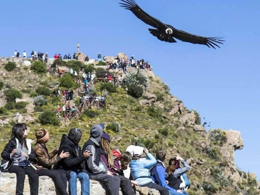 Arequipa: Colca Canyon Trekking 2 days and 1 night + food - Key points to know before booking