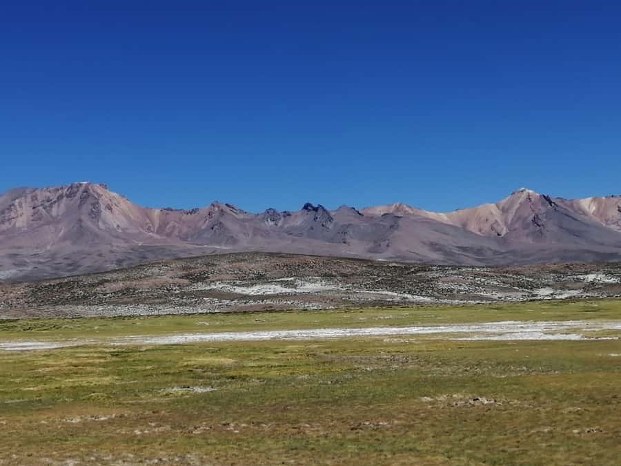 Arequipa: Full-Day Tour to Salinas Salt Lake - Chiguata viewpoint and breakfast stop
