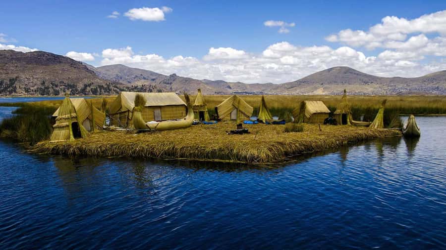 Arequipa: Fullday Colca Canyon + Lunch + Transfer to Puno - High country, volcano views, and Andean wildlife