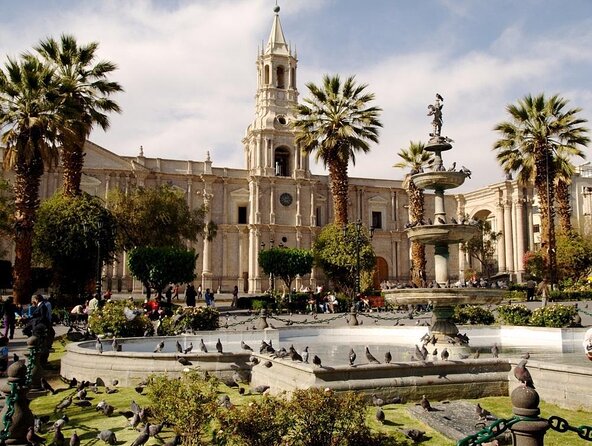Arequipa Tasting Tour - Why this $13 walk works as an Arequipa introduction