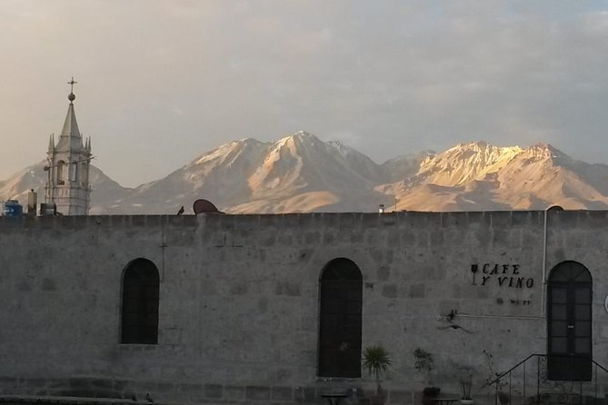 Arequipa Walking Tour city center and drinks experience - Mundo Alpaca: start with Peru’s fiber tradition
