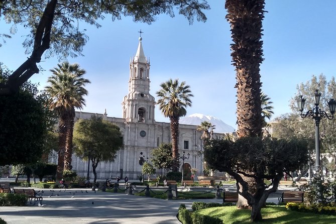 Arequipa Walking Tour city center and drinks experience - How demanding is the walk?