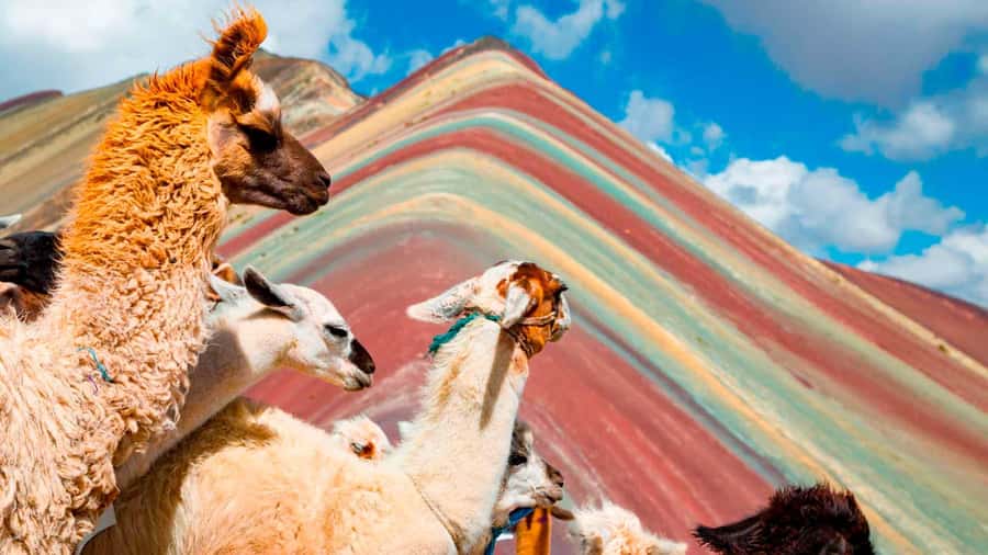 Arrive before the crowd to the Mountain in private service - A private ride from Cusco to Cusipata