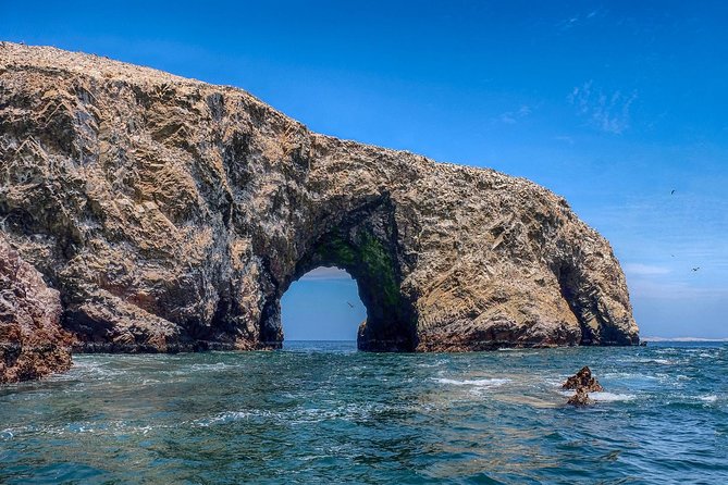 Ballestas island & Paracas reserve from PISCO CRUISESHIP TERMINAL - Meeting your guide near San Martín Port