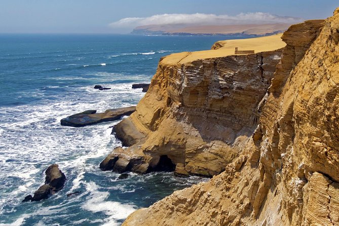 Ballestas island & Paracas reserve from PISCO CRUISESHIP TERMINAL - Paracas Reserve by bus