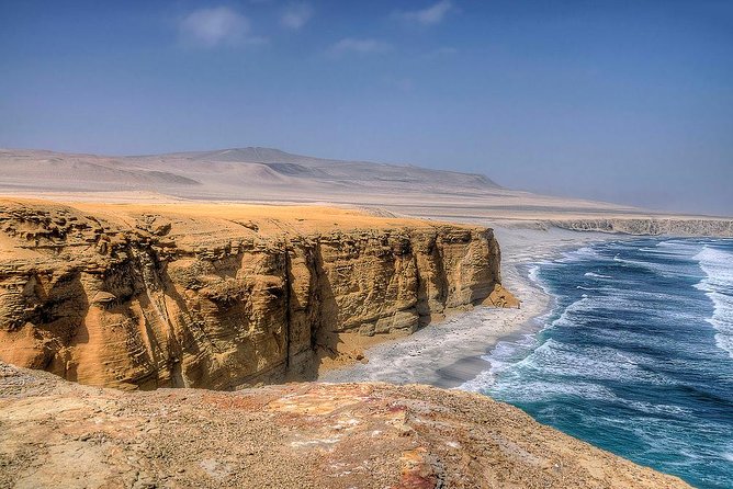 Ballestas island & Paracas reserve from PISCO CRUISESHIP TERMINAL - Who should book this excursion?