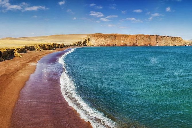 Ballestas island & Paracas reserve from PISCO CRUISESHIP TERMINAL - Ballestas Islands: Peru’s wildlife show