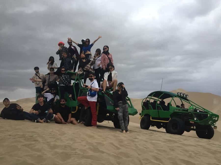 Ballestas Islands and Huacachina Oasis Half-Day Tour - From Paracas Harbor to the Ballestas Islands