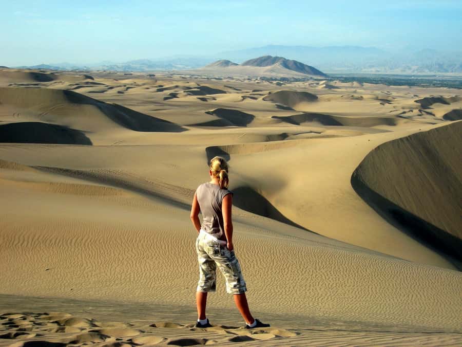 Ballestas Islands and Huacachina Oasis Half-Day Tour - How the private setup affects the value