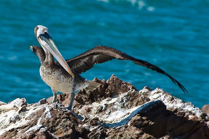 Ballestas Islands Group Tour from Paracas - Why Ballestas feels bigger than a two-hour outing