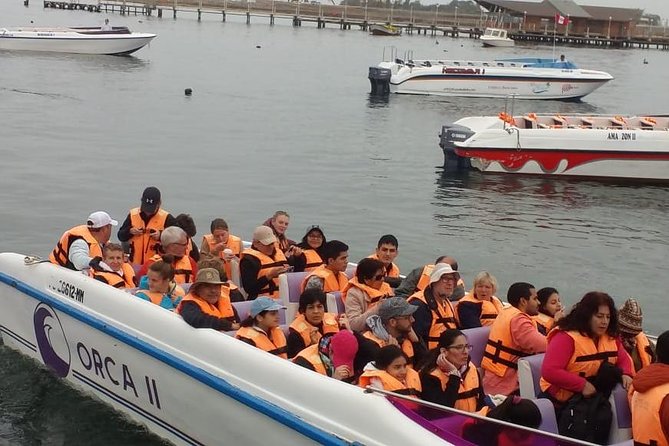 Ballestas Islands Group Tour from Paracas - Sea lions, penguins, and a lot of seabirds