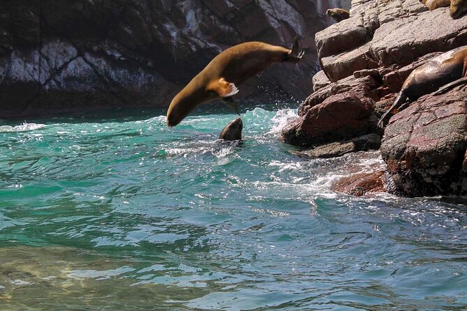 Ballestas Islands & National Reserve of Paracas from Ica - What the $39 price really covers