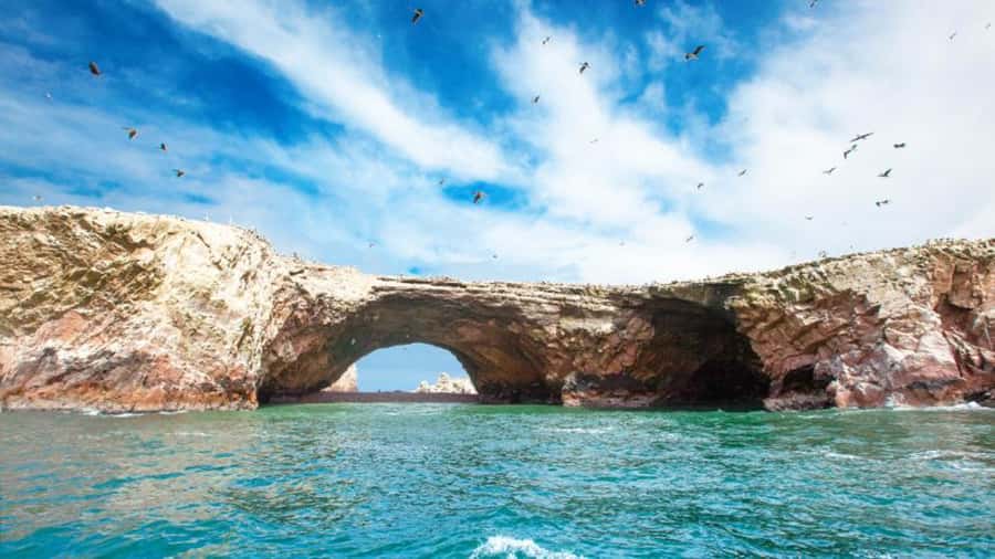 Ballestas Islands & Paracas National Reserve from Paracas - Lagunillas is the practical highlight for a swim