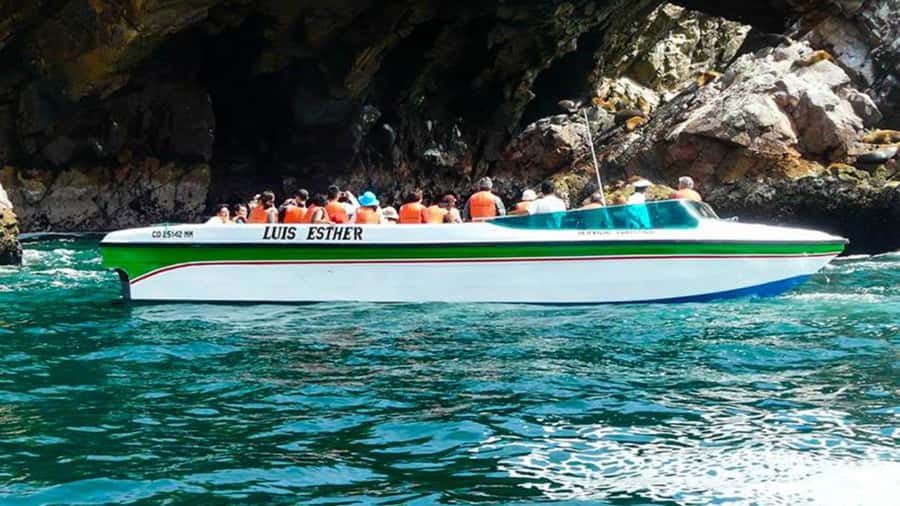 Ballestas Islands & Paracas National Reserve from Paracas - What the $34 price really covers