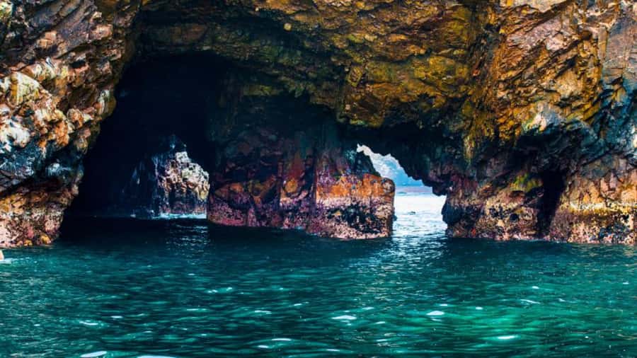 Ballestas Islands & Paracas National Reserve from Paracas - Ballestas Islands: noisy rocks and serious wildlife