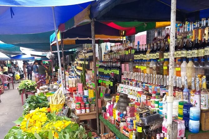 Belen Market and La Venecia Loretana Tour With A Local Guide - Tasting Amazonian fruits and local foods
