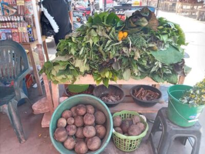 Belen Market & Floating City 2-3 Hour Private Tour