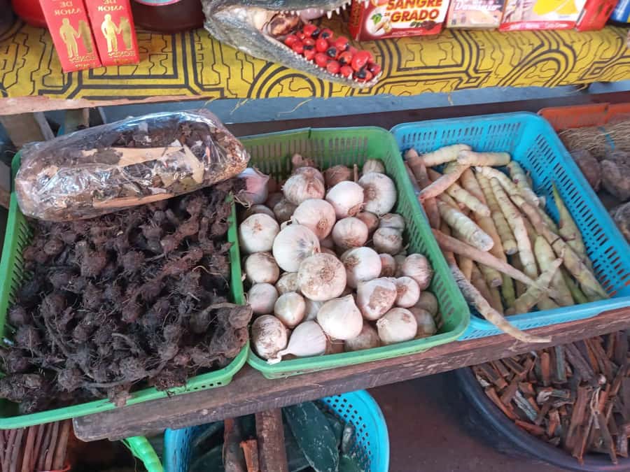 Belen Market & Floating City 2-3 Hour Private Tour - Is $40 per person good value?