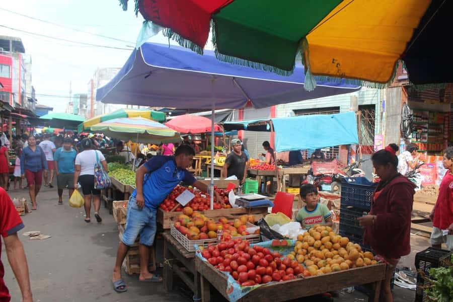 Belen Market & Floating City 2-3 Hour Private Tour - Comfort, safety, and what to bring