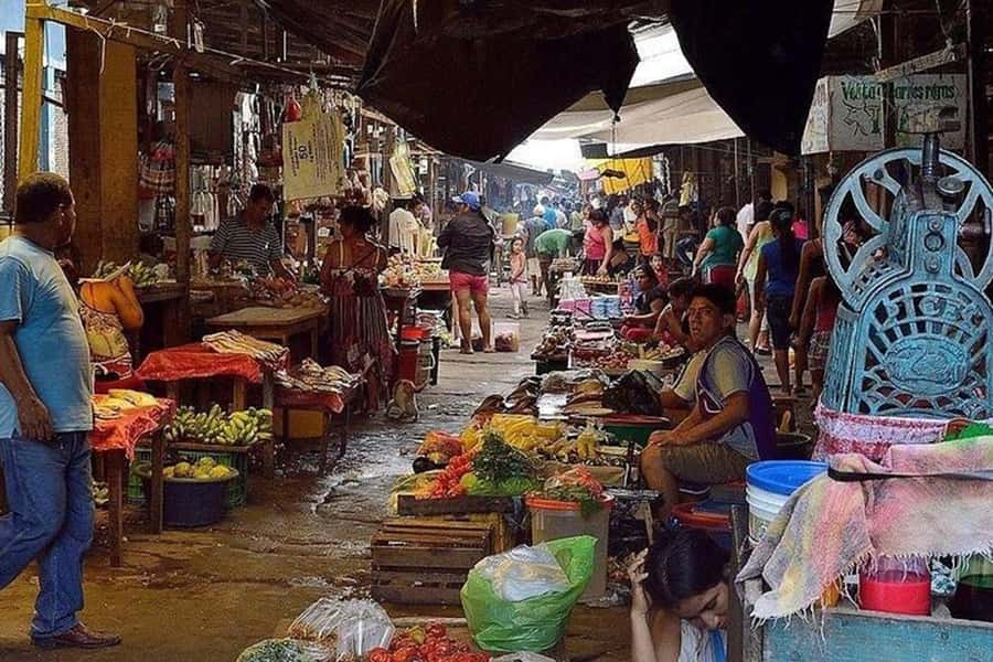 Belen Market & Floating City 2-3 Hour Private Tour - Booking flexibility and meeting details