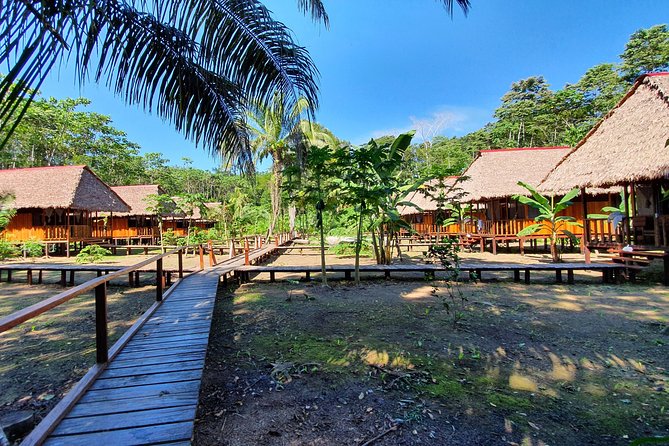 Best of Tambopata 2 nights by JunglePro - The Chuncho Macaws Clay lick