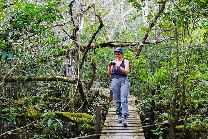 Best of Tambopata 2 nights by JunglePro - Three days of wildlife watching
