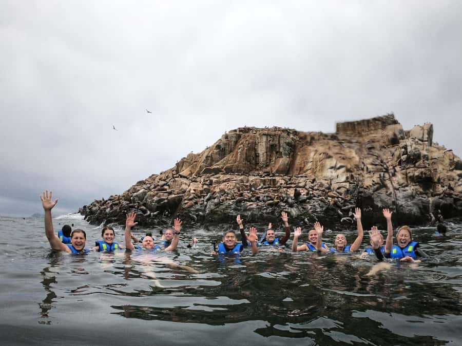 Callao: Swimming with Sea Lions Palomino Islands Boat Tour - Why the Palomino Islands trip is special