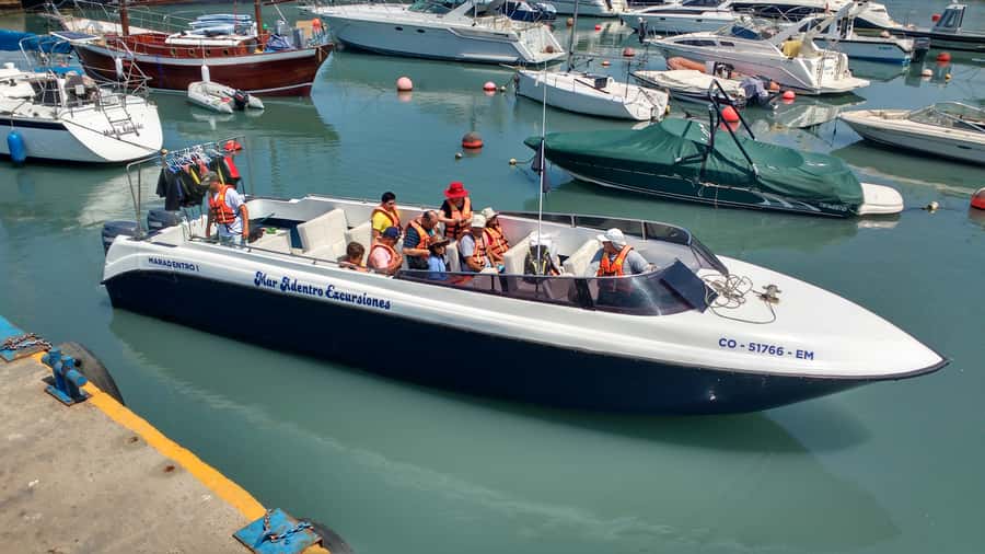 Callao: Swimming with Sea Lions Palomino Islands Boat Tour - Should you book the Palomino Islands experience?