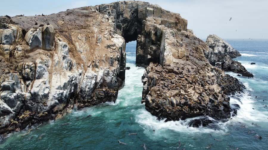 Callao: Swimming with Sea Lions Palomino Islands Boat Tour - Reaching Palomino Island at about 11:30 AM