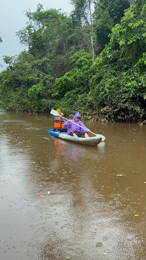 Canopy Tower, Zipline, Kayak, and Monkey Island … - What this Puerto Maldonado day really includes