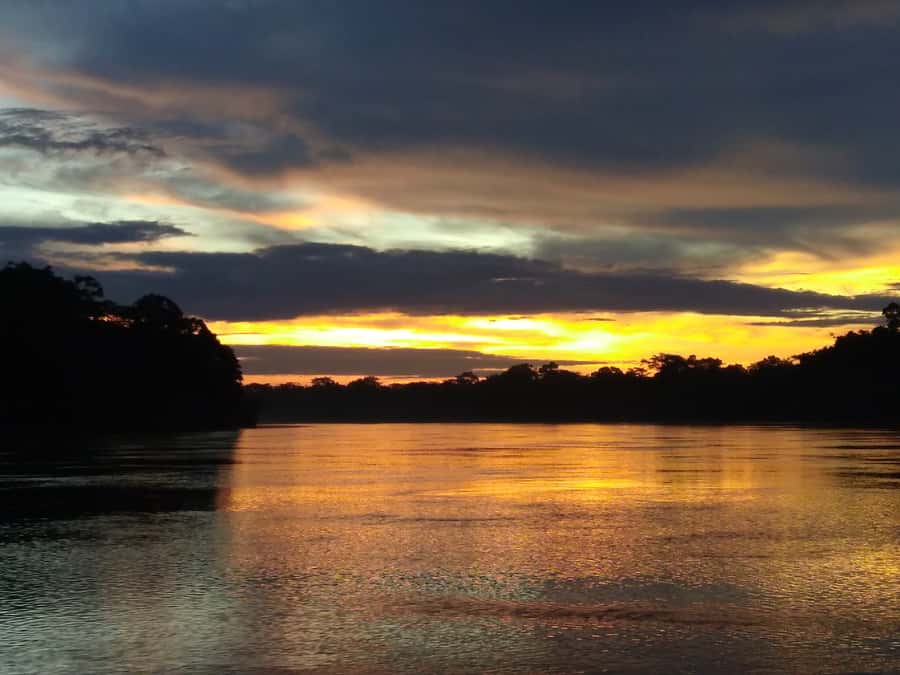 Capibara and caiman search on the Tambopata river - Who should choose this river trip?