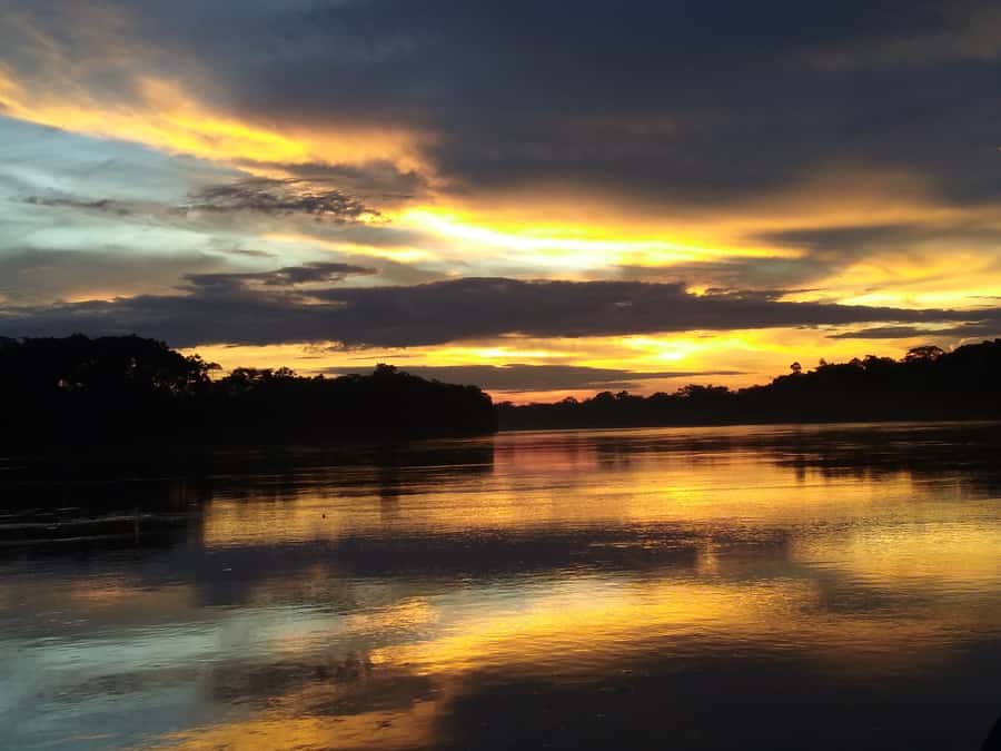 Capibara and caiman search on the Tambopata river - A slow start on the Tambopata River
