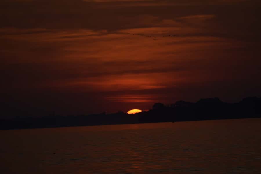 Capibara and caiman search on the Tambopata river - Sunset over the water