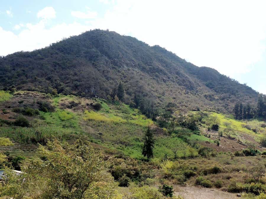 Chiclayo: Chaparri Ecological Reserve Tour - The Enchanted Garden and three Chaparri routes