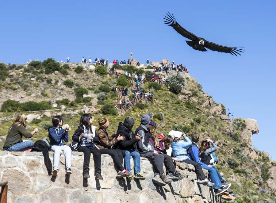 Colca Canyon: 2-Day Tour from Arequipa to Puno - Why this Arequipa to Puno route makes sense