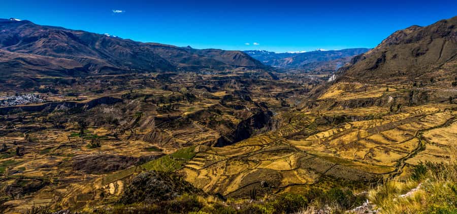 Colca Canyon: 2-Day Tour from Arequipa to Puno - Altitude, clothing, and luggage advice