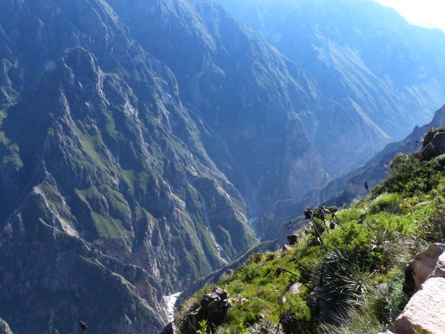 Colca Canyon Day Trip: From Arequipa to Puno - Before sunrise, from Arequipa to Yura