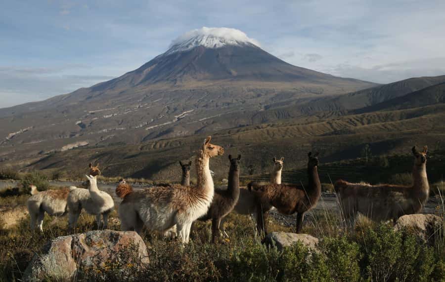COLCA CANYON FULL DAY TOURS - Cruz del Condor and the Colca Canyon