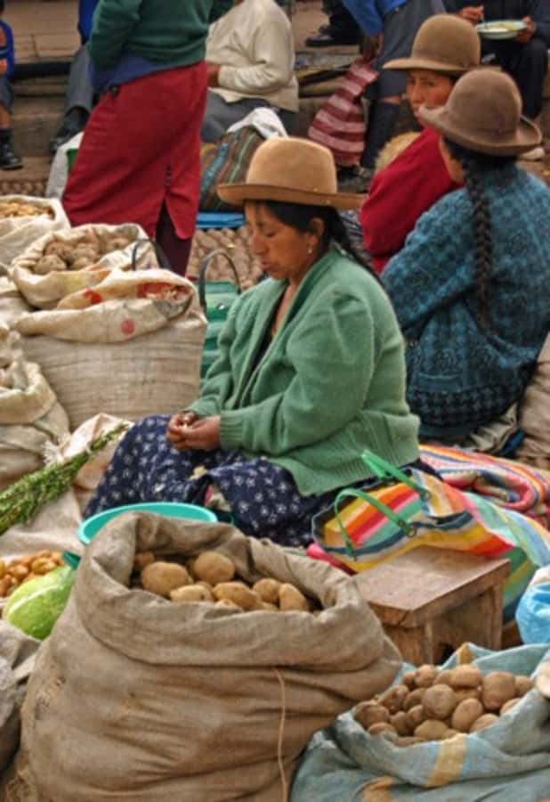 Cusco: 3-Hour Peruvian Cooking Class - Shopping for ingredients in Cusco’s Central Market