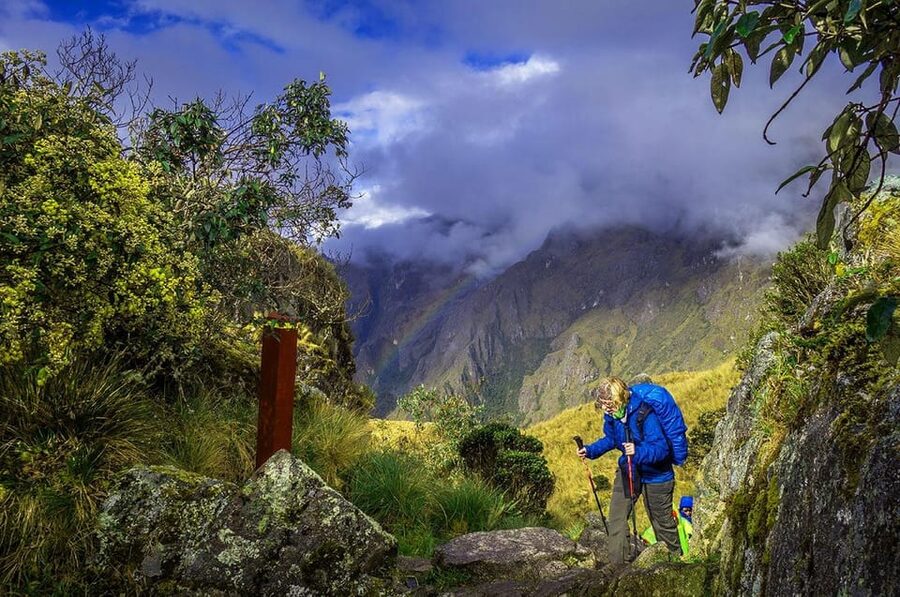Cusco: 4-Day Inca Trail to Machu Picchu with Accommodation - Day 4: The climb to Machu Picchu