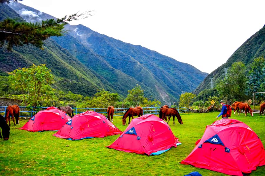Cusco: 5-Day Salkantay Ultimate Trek to Machu Picchu - Day 5: Machu Picchu with a guided visit