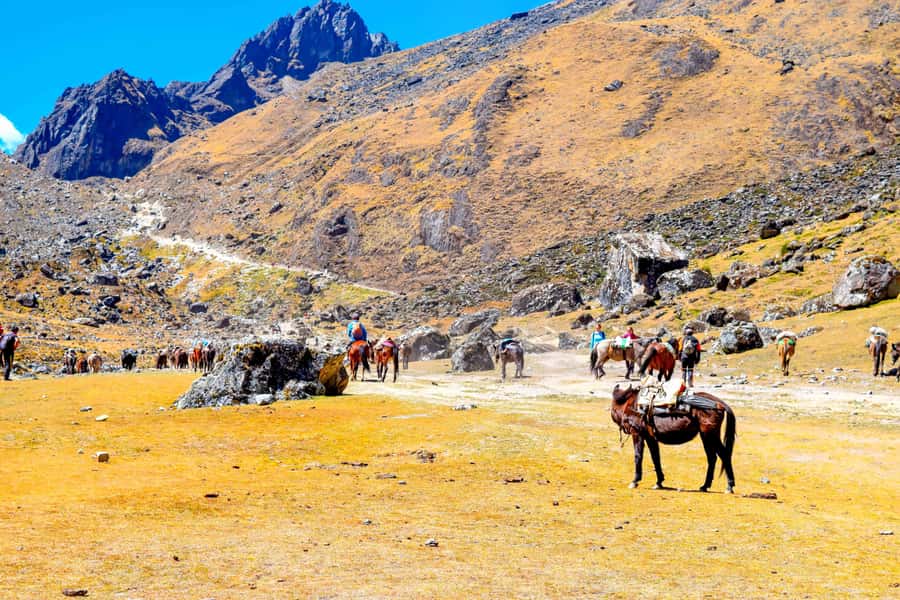 Cusco: 5-Day Salkantay Ultimate Trek to Machu Picchu - Guides, group size, and support on the trail