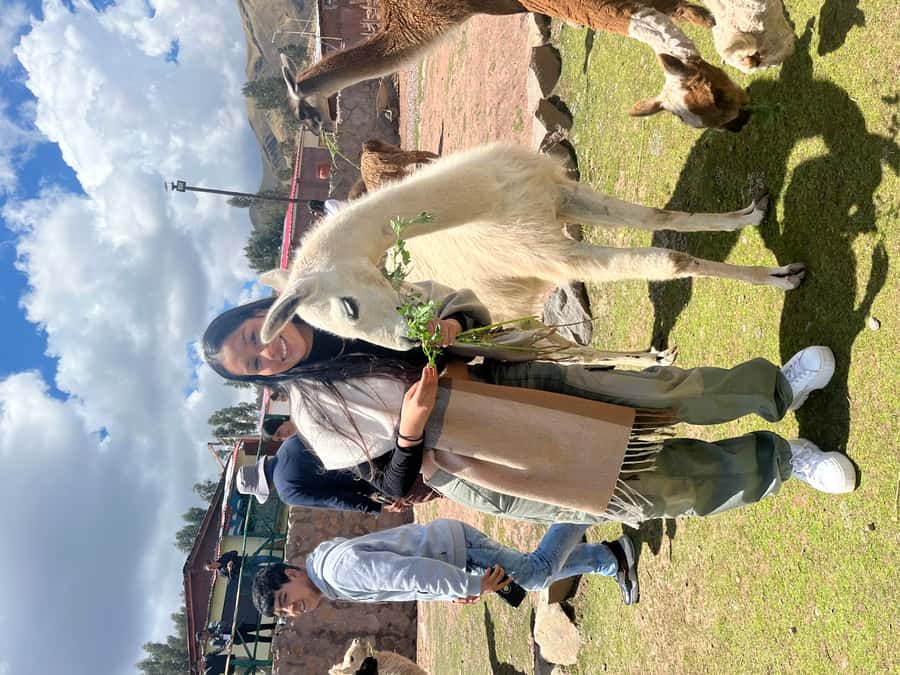 Cusco: Archeological Sites Tour and Forest Photo Experience - What the $17 price really covers