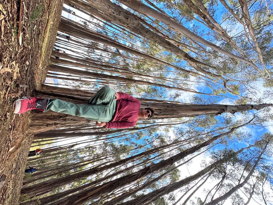 Cusco: Archeological Sites Tour and Forest Photo Experience - Pickup rules and what to carry
