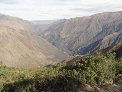 Chonta Canyon and Condor Flight Tour with Lunch