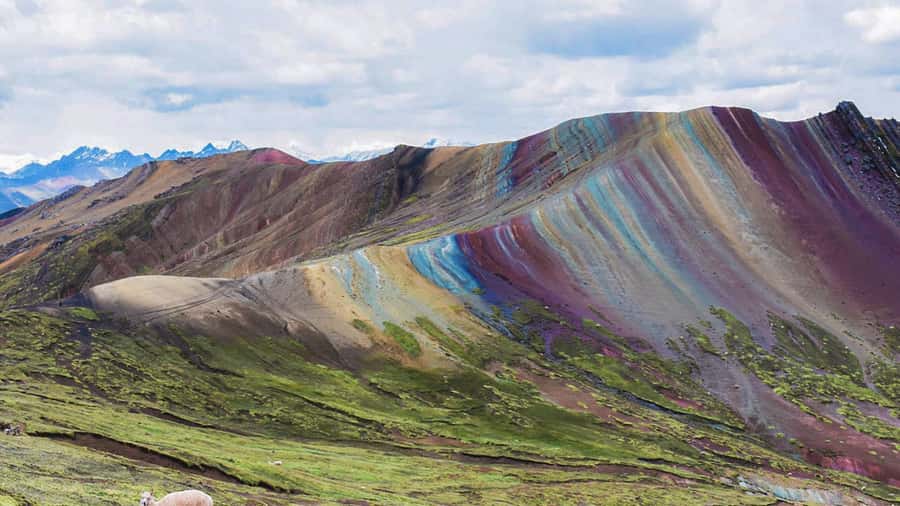 Cusco : Full day Palcoyo Mountain of colors - The 4 a.m. pickup and the road south